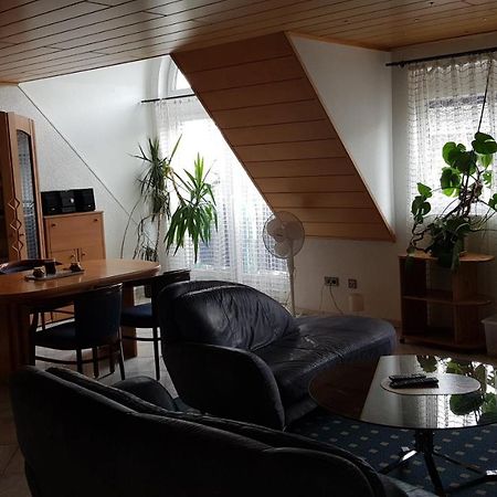 Nibelungen - Ferienwohnungen - Worms - Apartments ภายนอก รูปภาพ