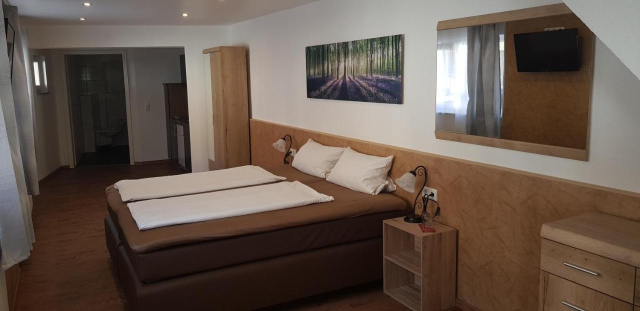 Nibelungen - Ferienwohnungen - Worms - Apartments ภายนอก รูปภาพ